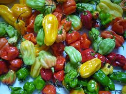 chiles